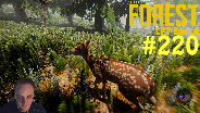 THE FOREST #220 - Noch mehr Dach ☼ Let's Play The Forest [HD] [0.24] [LPT]